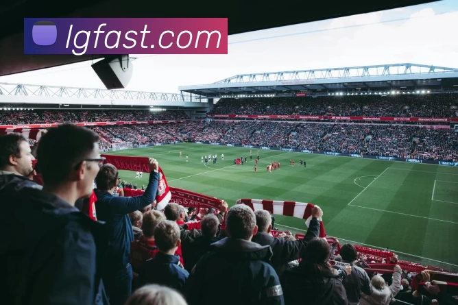 蓝冠在线官网平台生态图